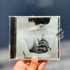 Belle and Sebastian- Tigermilk