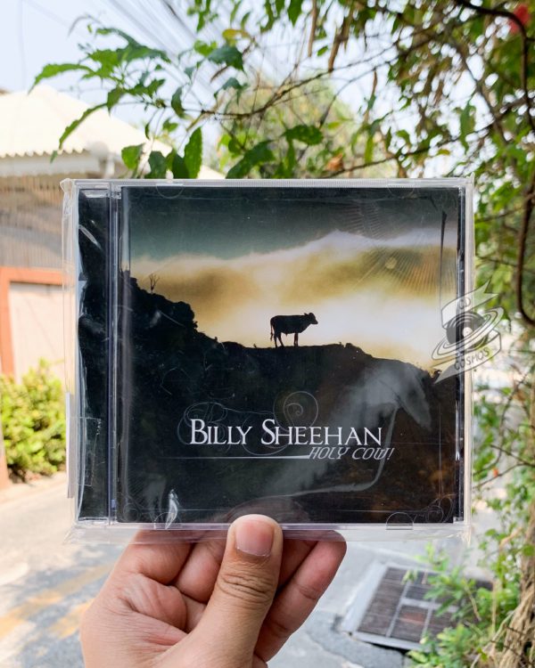 Billy Sheehan - Holy Cow!