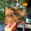 Fleet Foxes -Fleet Foxes