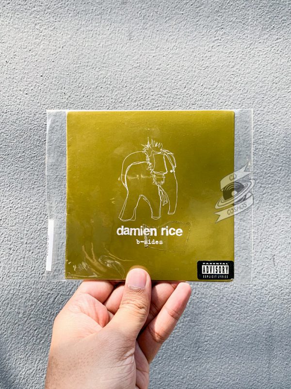 Damien Rice - B-Sides