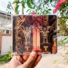Cannibal Corpse - Live Cannibalism