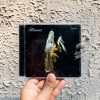 The Courteeners - Falcon