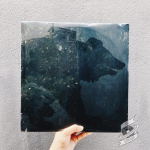 This Will Destroy You ‎– Young Mountain Vinyl