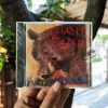 Giant Sand - Purge & Slouch