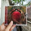 Guillemots - Get Over It