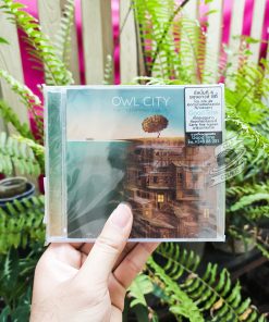 Owl City - Ocean Eyes (Thailand Edition)