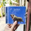 James - Millionaires