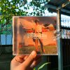 The Fratellis - Here We Stand