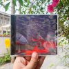 Tangent Plane - Tangent Plane