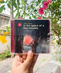 Telstar Ponies - In The Space Of A Few Minutes