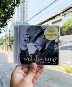 Will Downing - After Tonight