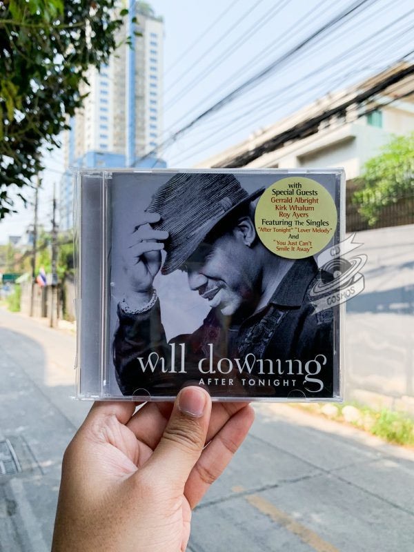 Will Downing - After Tonight