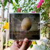 Wolfmother - Cosmic - Egg