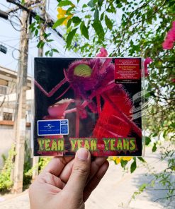 Yeah Yeah Yeahs - Mosquito