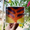 Yeah Yeah Yeahs - Show Your Bones
