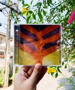 Yeah Yeah Yeahs - Show Your Bones