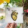 The Kooks - Listen (Deluxe Edition)