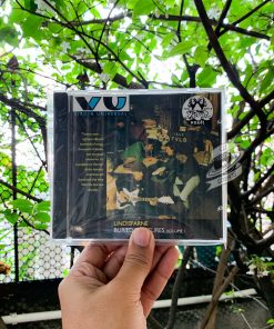 Lindisfarne - Buried Treasures Vol. 1