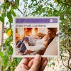 VA - Jazz For Lovers