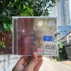 Nine Inch Nails - Hesitation Marks
