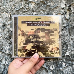 Robert Glasper Experiment - Black Radio 2