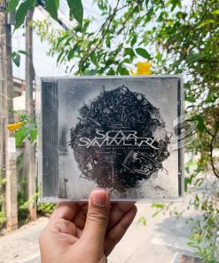 Scar Symmetry - Dark Matter Dimensions