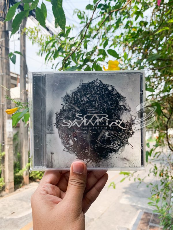 Scar Symmetry - Dark Matter Dimensions
