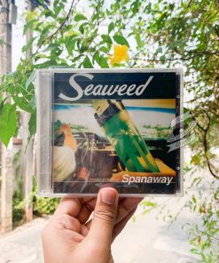 Seaweed ‎- Spanaway