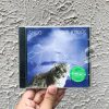 Smog - Knock Knock