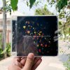 Snow Patrol - A Hundred Million Suns (Thailand Edition)