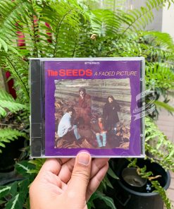 The Seeds - A Faded Picture