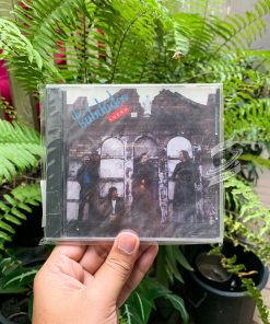 ‎The Subdudes - Lucky