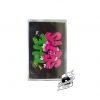 TRAVIS SCOTT - THE SCOTTS CASSETTE VER.1 Cassette