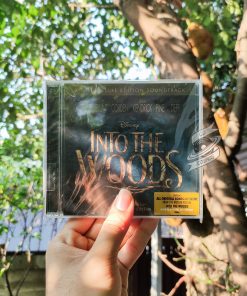 VA - Into The Woods