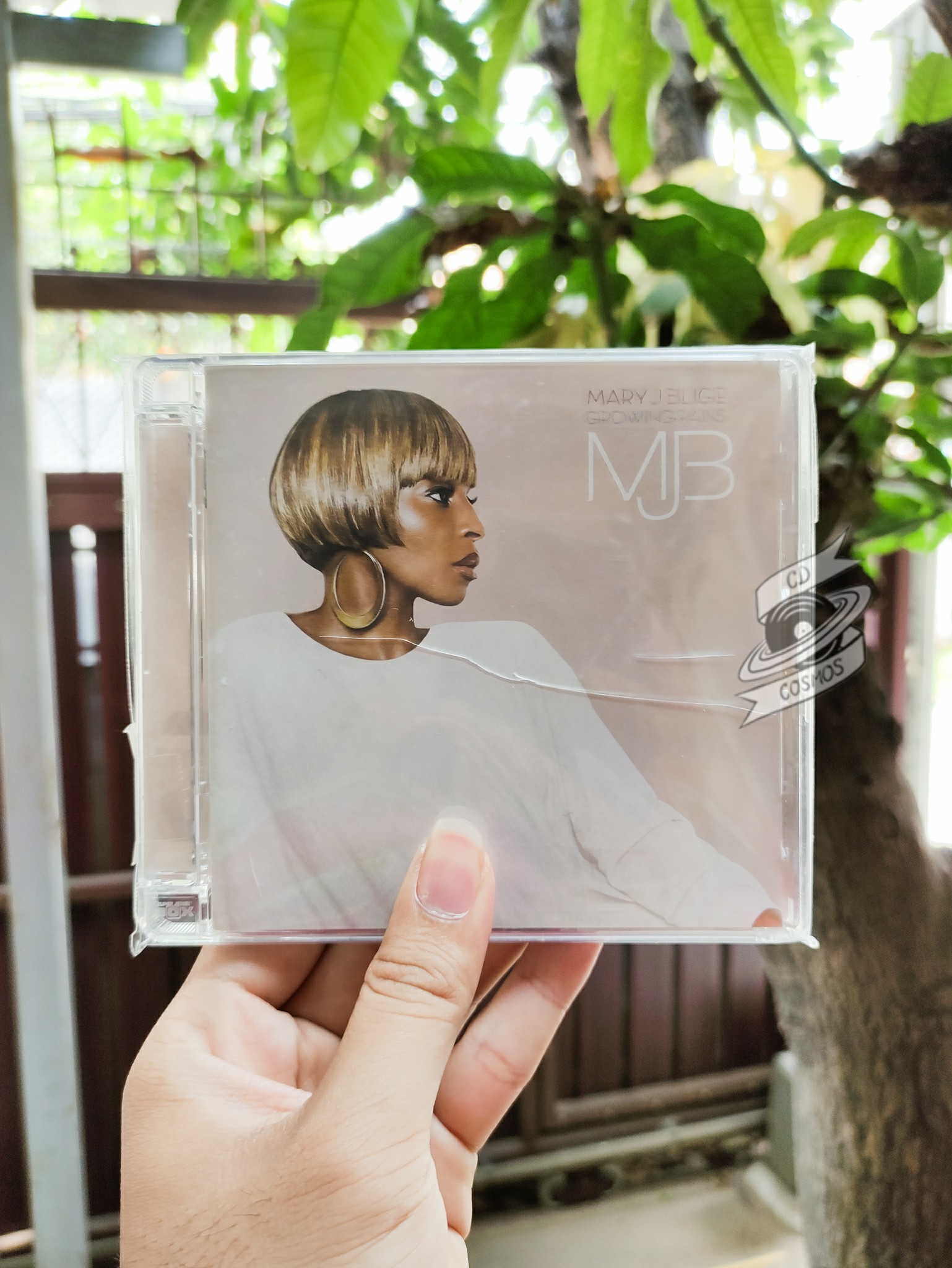 Mary J. Blige - Growing Pains -  Music