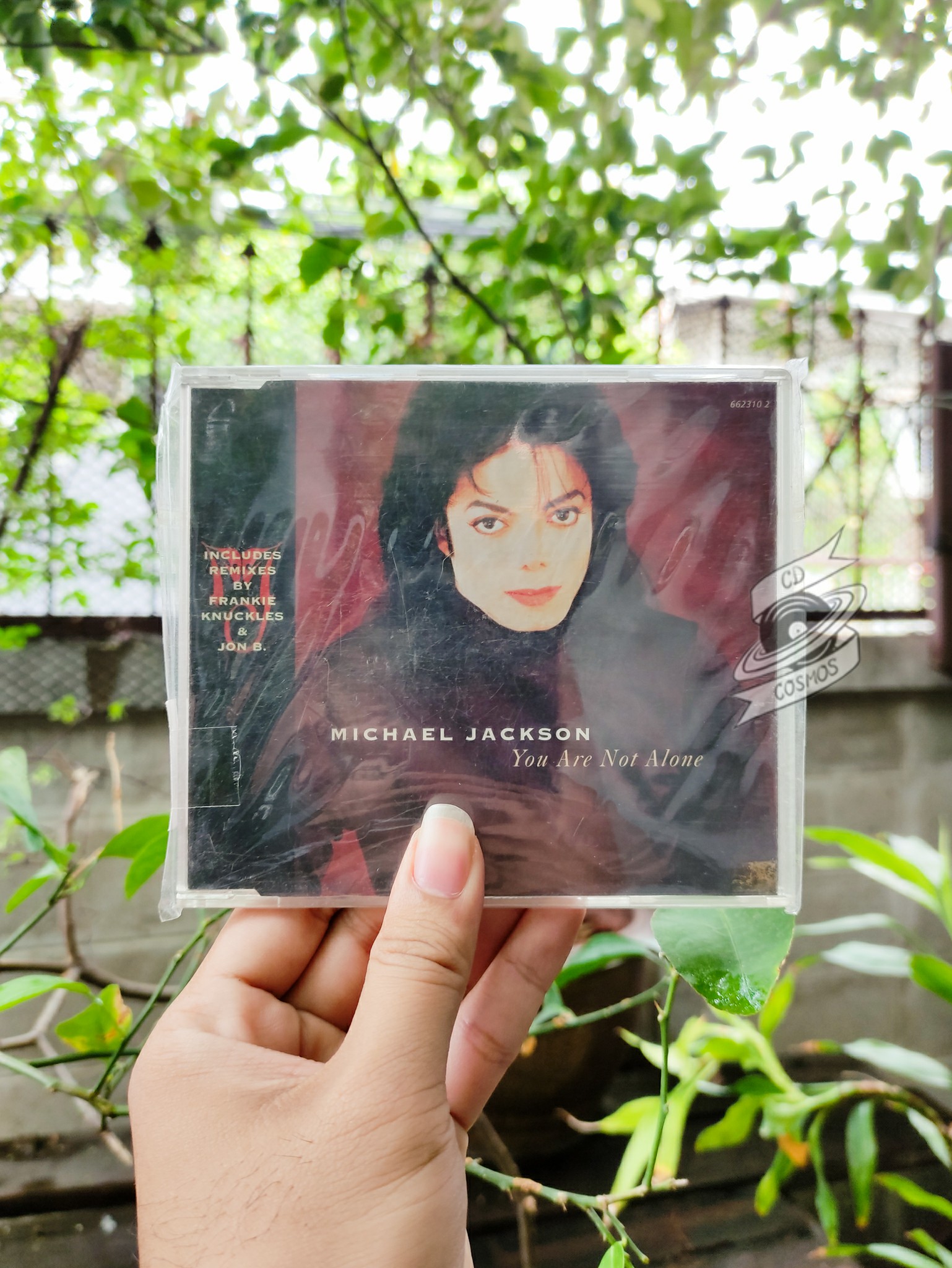 Michael Jackson - You Are Not Alone - cdcosmos