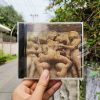 Misanthrope - Miracles Totem Taboo