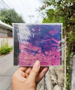 Misanthrope - Variation On Inductive Theories