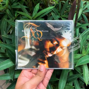 TQ - Keep It On The Low