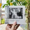 Beastie Boys - Beastie Boys Anthology: The Sounds Of Science