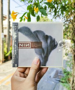 Nine Inch Nails - The Day The World Went Away