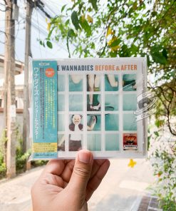 The Wannadies - Before & After