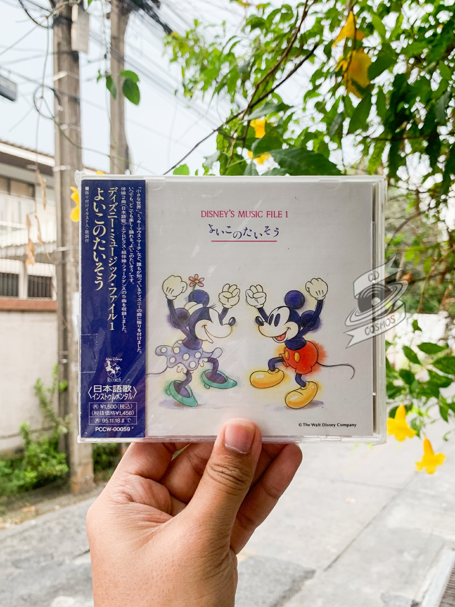 Disney Music File 1 Cdcosmos