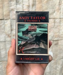 Andy Taylor - Thunder