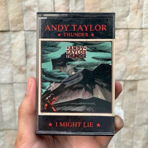 Andy Taylor - Thunder