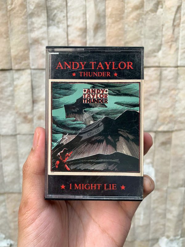Andy Taylor - Thunder