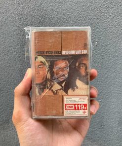 Black Eyed Peas - Bridging The Gap