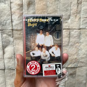 Backstreet Boys - I'll Never Break Your Heart