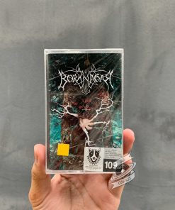 Borknagar - Empiricism