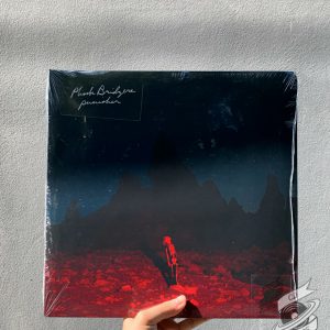 Phoebe Bridgers ‎– Punisher Vinyl